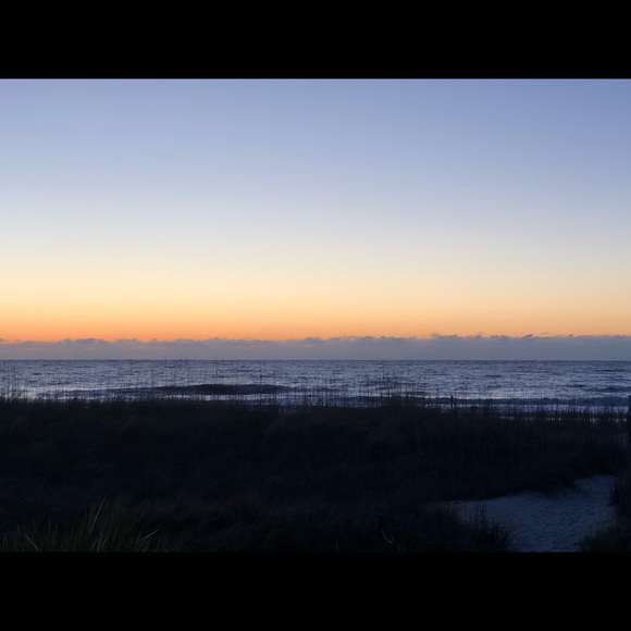 Meet your Posher, R. barney - Picture 1 of 1